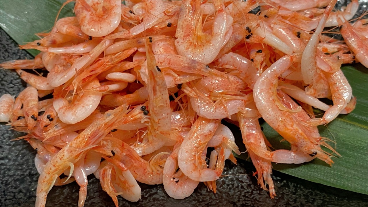 焼津の桜えびとは？駿河湾が生む希少な海の幸｜食べ方・おすすめ店まとめ